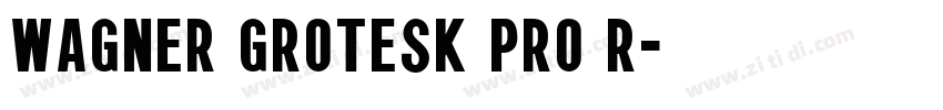 Wagner Grotesk Pro R字体转换